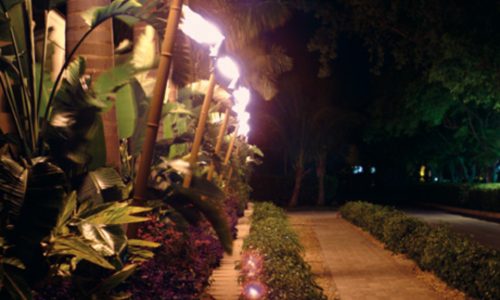 nighttorchesrowfinal